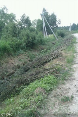 rabota2.jpg (107.43 КБ) 1526 просмотров rabota2.jpg