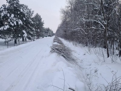 312f70d8792f.jpg (82.33 КБ) 2886 просмотров 312f70d8792f.jpg