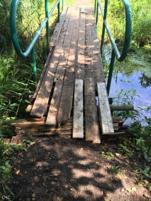 rabota1.jpg (349.57 КБ) 2621 просмотр rabota1.jpg