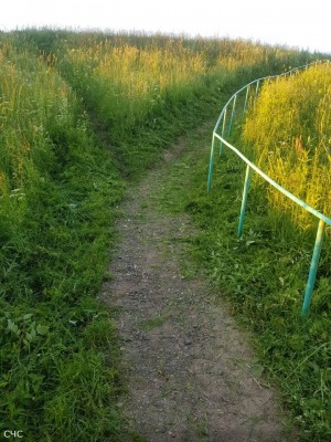 rabota2.jpg (357.46 КБ) 2033 просмотра rabota2.jpg