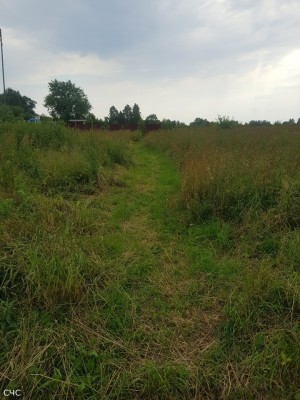 rabota3.jpg (284.03 КБ) 2041 просмотр rabota3.jpg