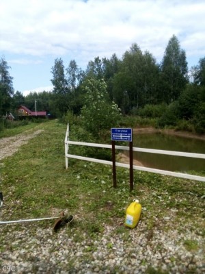 rabota1.jpg