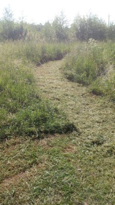 rabota2.jpg (86 КБ) 2647 просмотров rabota2.jpg