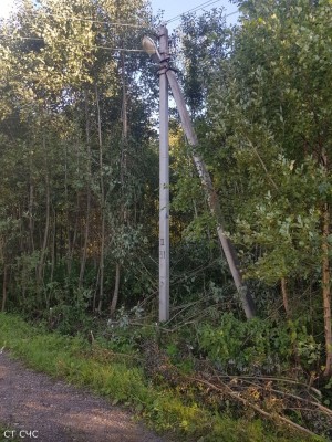 rabota1.jpg (400.66 КБ) 1901 просмотр rabota1.jpg